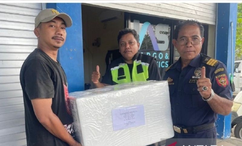 Ekspor Perdana Tuna Yellowfin Maluku ke Thailand Berhasil, Bea Cukai Ambon Sebut Pasar Asia Tenggara Terbuka