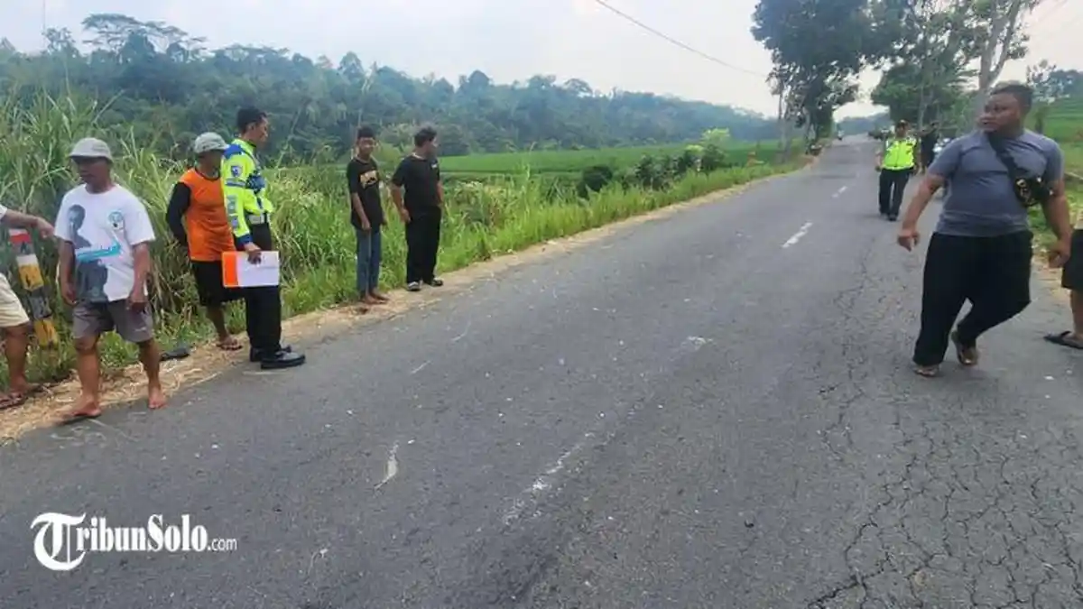 Kecelakaan Maut Karanganyar: Pemotor Honda Beat Tewas Terjun ke Jurang 20 Meter Usai Adu Banteng dengan Tiger
