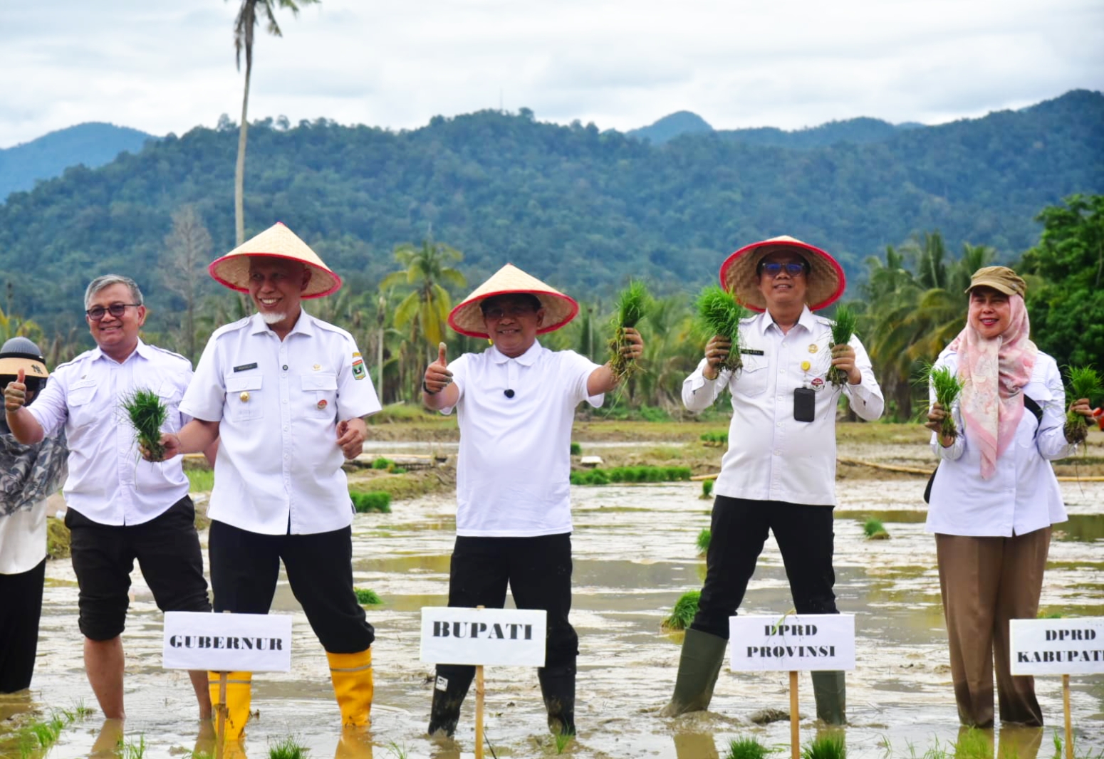 Target Mentan Satu Bulan, Pemkab Padang Pariaman Selesaikan Rehabilitasi Lahan Sawah dalam 23 Hari