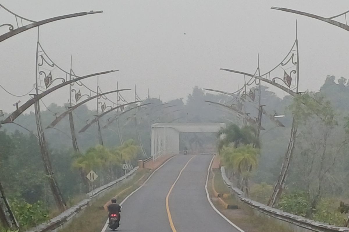 Dinkes Kepri Imbau Warga Tanjungpinang, Bintan, Lingga, dan Batam Waspadai Kabut Asap, 3.000 Kasus ISPA Tercatat