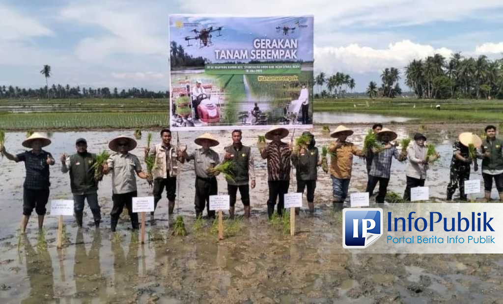 Aceh Utara Genjot Tanam Padi Serempak, Target Musim Gadu 2026 Capai 30.067 Hektare