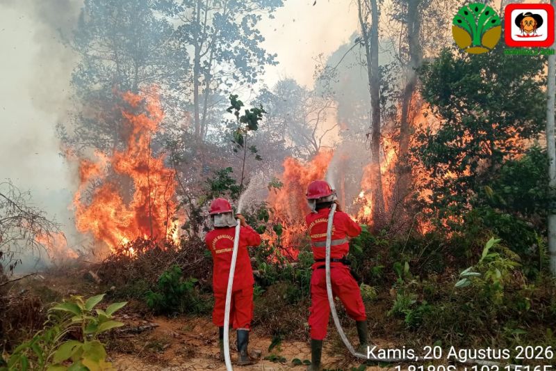 Enam Provinsi di Kalimantan dan Sumatera Jadi Prioritas Penanganan Karhutla, Puncak Risiko Diprediksi Agustus-September 2026