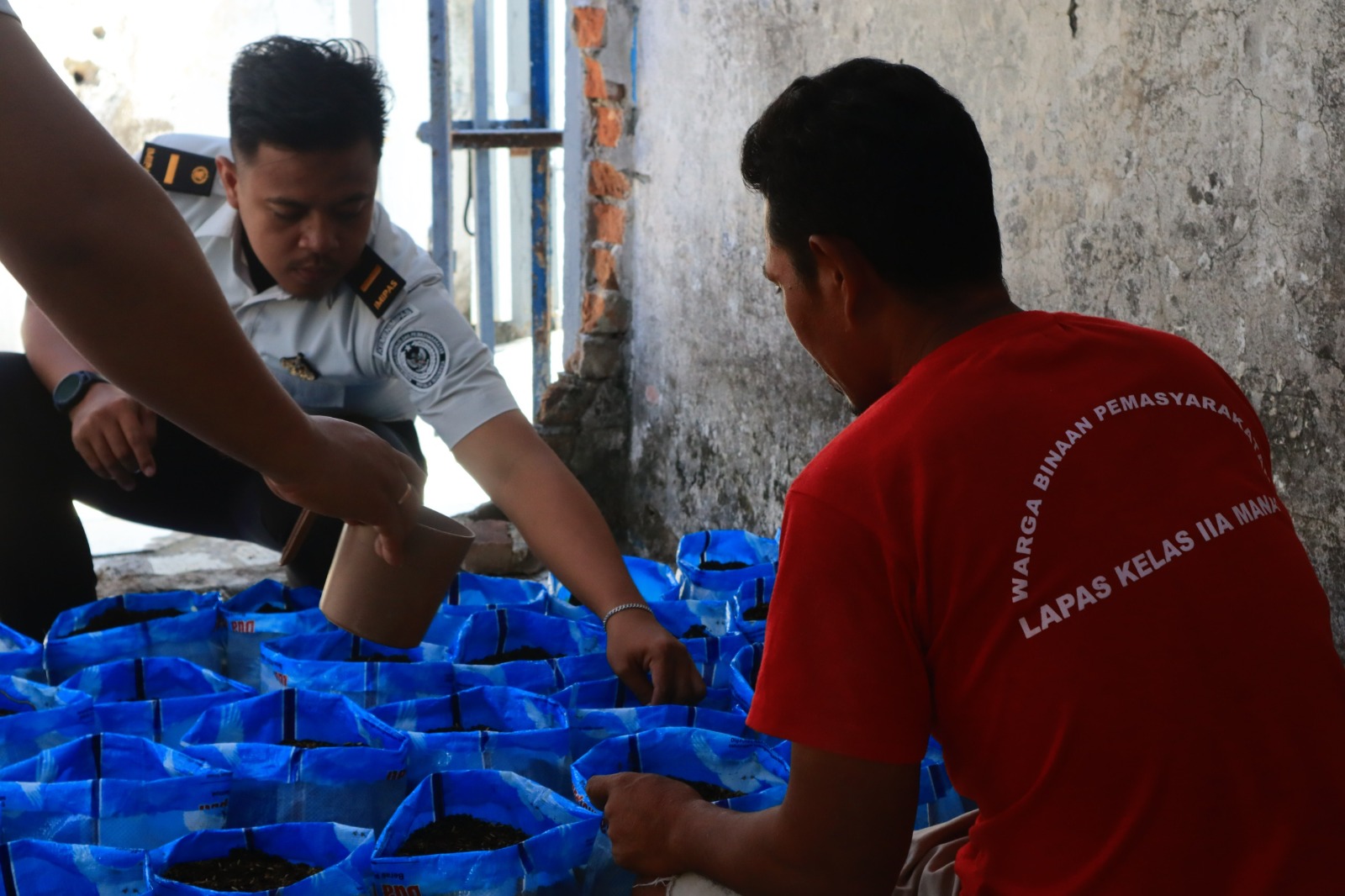 Lapas Manado Tanam Ribuan Bibit Ketimun di Area SAE, Dukung Ketahanan Pangan dan Bekali WBP Keterampilan