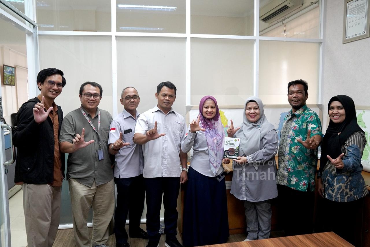 Dukung Penelitian Ikan Endemik Bangka, PT Timah Biayai Domestikasi Betta Burdigala yang Terancam Punah