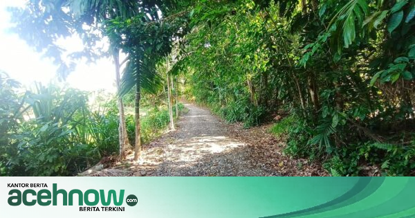 Jalan TMMD ke-129 di Kemumu Seberang Aceh Selatan Mulai Dipakai Warga Angkut Hasil Kebun, 1,5 Kilometer Terhubung
