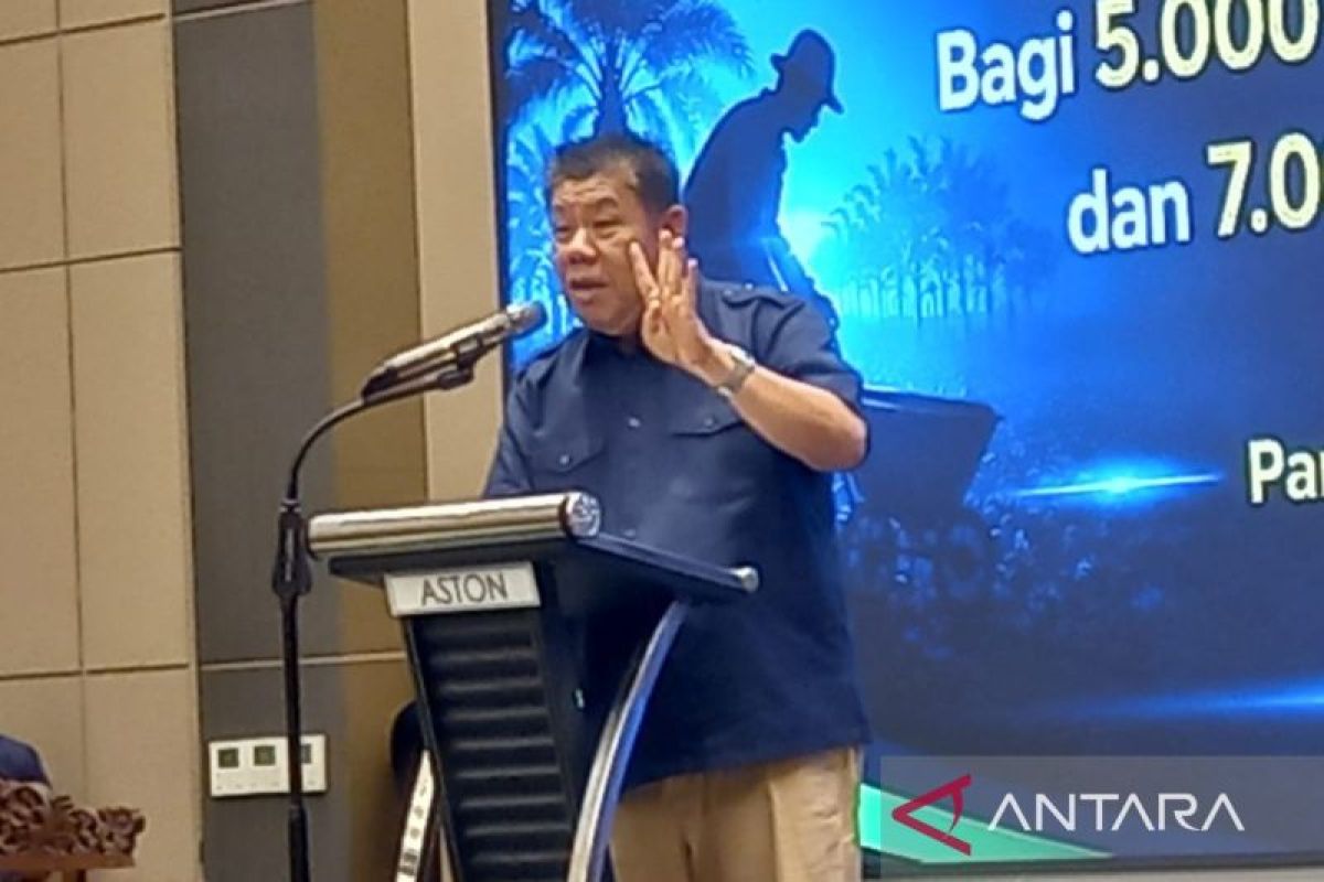 Gubernur Babel Hidayat Arsani Akan Panggil Paksa Investor Sawit Asing yang Tak Kooperatif, Ancam Cabut Izin