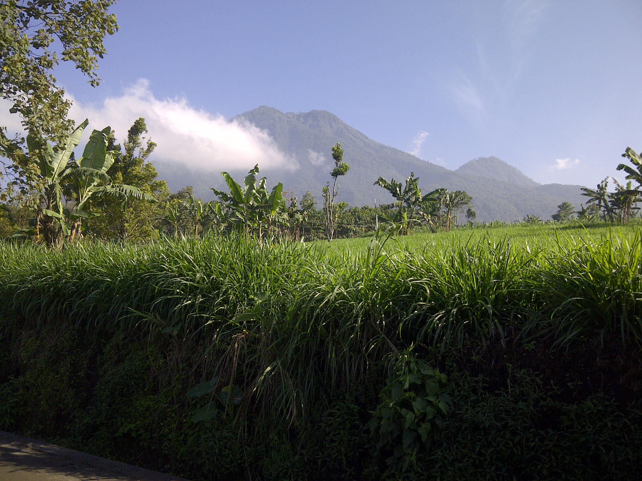 Sejarah dan Legenda Gunung Kawi: Asal-usul Wisata Spiritual di Malang