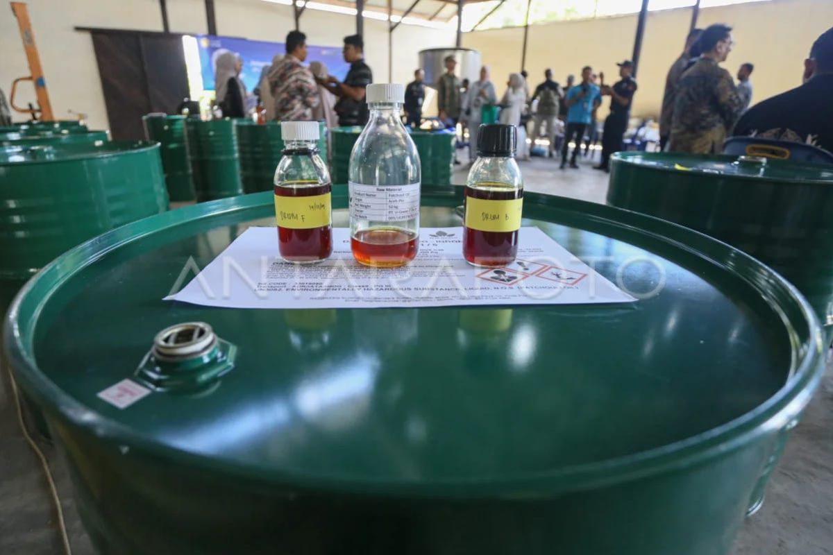 Aceh Segera Usulkan Sistem Resi Gudang untuk Nilam, Target Atasi Fluktuasi Harga dan Dorong Hilirisasi
