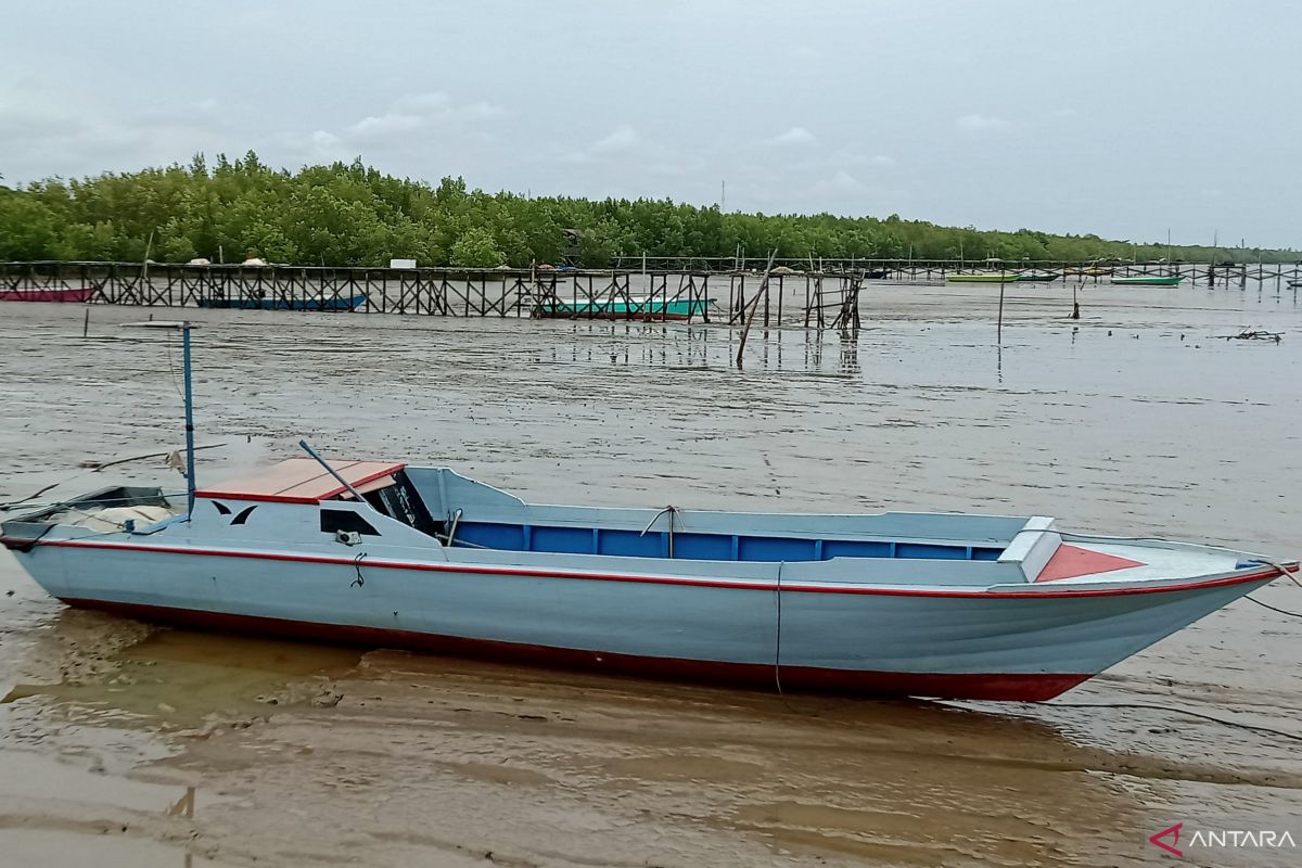 Produksi Ikan Tangkap di Penajam Paser Utara Anjlok 34%, Pemkab Arahkan Nelayan Mengolah Ikan Asin Saat Kemarau