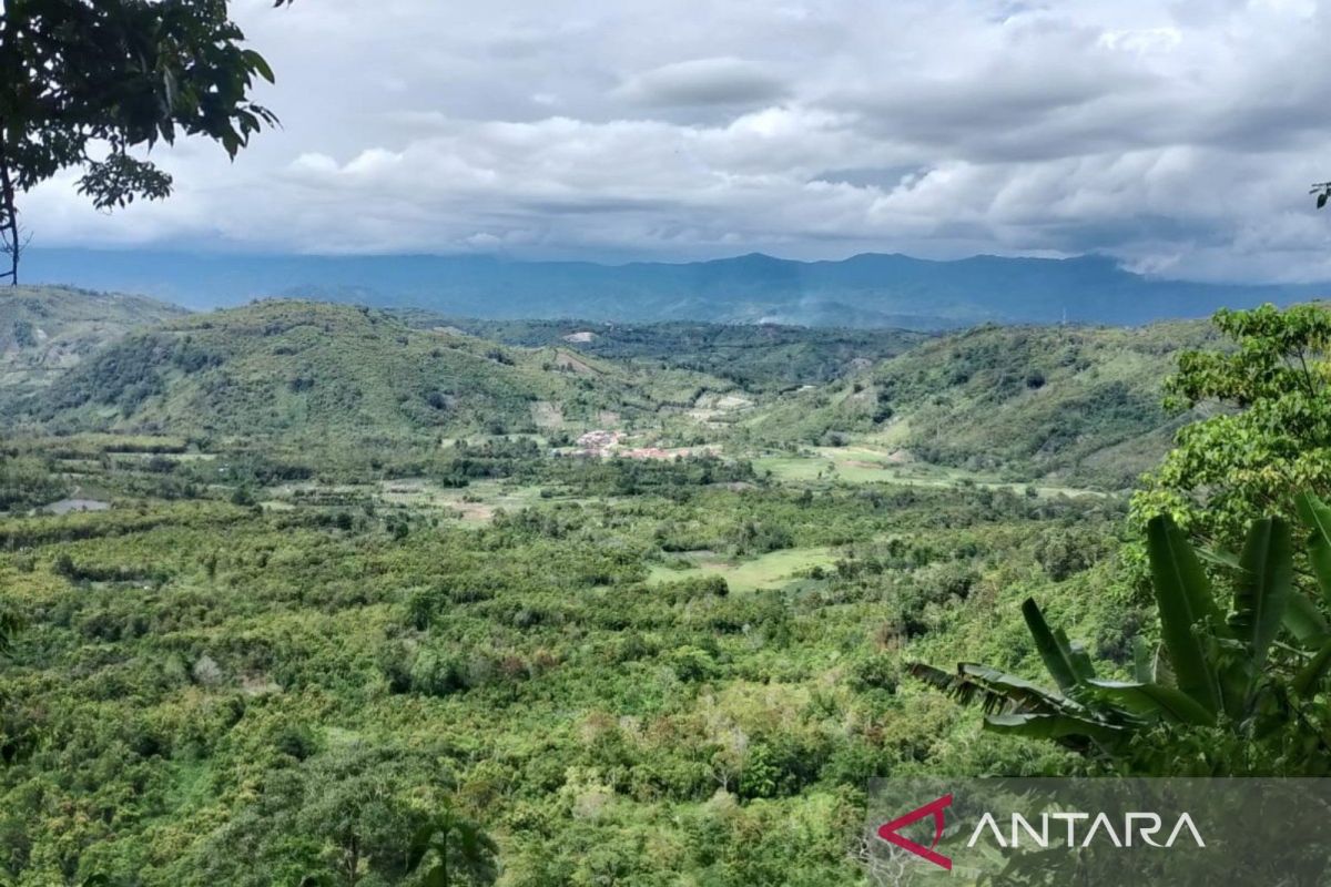 Hutan Adat Lekuk Limapuluh Tumbi di Kerinci Juara 2 Pengelola Terbaik Se-Provinsi Jambi, Wakil Bupati Serahkan Penghargaan