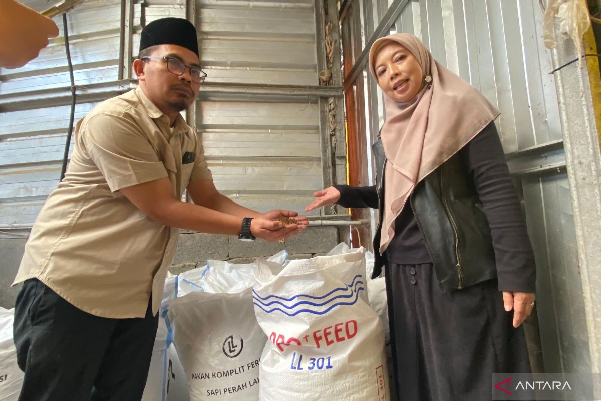 Pakan Ternak Fermentasi Hasil Riset IPB Dikembangkan di Garut, Solusi Saat Kemarau Sulitkan Hijauan