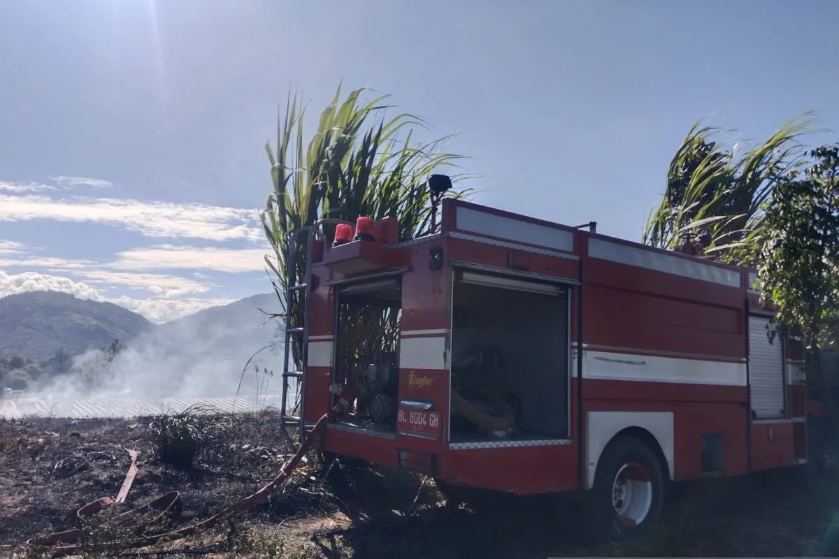 Karhutla di Aceh Januari-Juni 2026 Timbulkan Kerugian Rp34,7 Miliar, Nagan Raya Terparah dengan 95 Hektar Lahan Terbakar