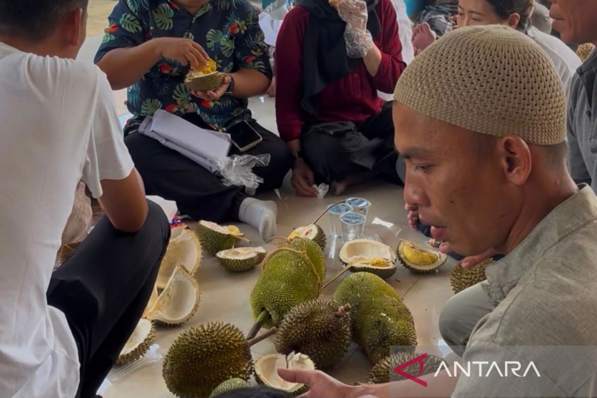 Tradisi Nganggung Durian di Desa Pelangas Bangka Barat, Pemprov Babel Gandeng Influencer untuk Promosi Wisata Budaya