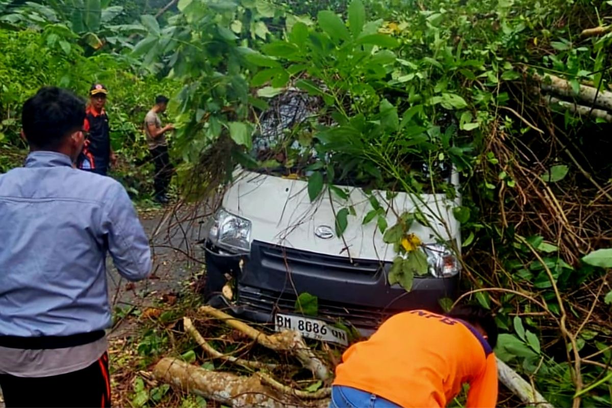 Mobil Ekspedisi Tertimpa Pohon Tumbang di Anambas, Dua Orang Selamat Usai Dievakuasi Warga