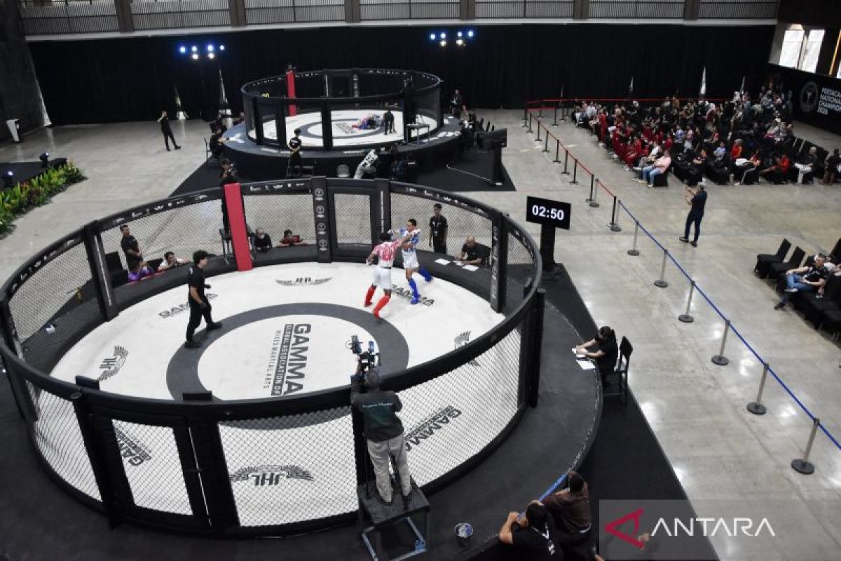 Tim MMA Amatir Indonesia Raih 15 Medali di Kejuaraan Asia Malaysia, Sabet 5 Emas