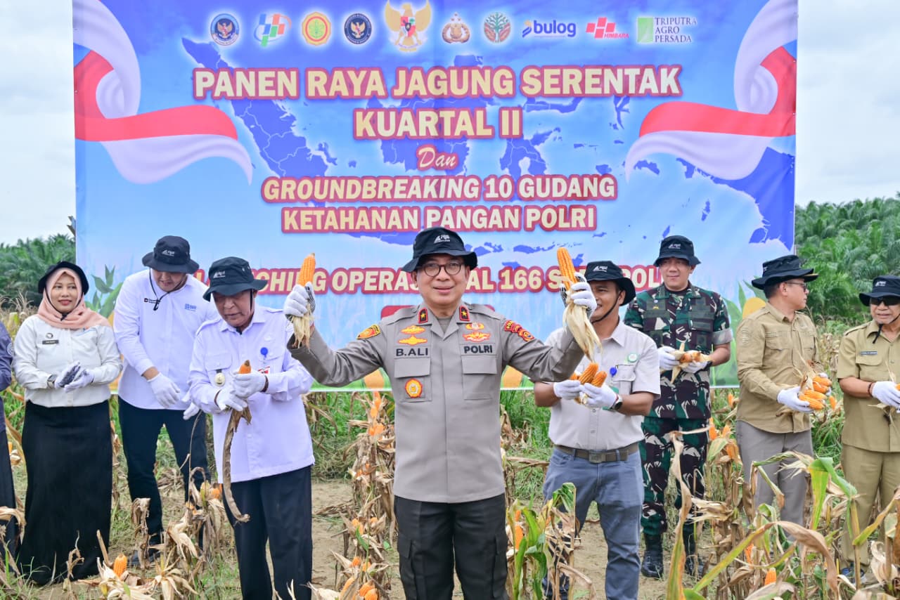 Polda Jambi Panen 35 Ton Jagung dari 14,3 Hektar Lahan, Dukung Target Swasembada Pangan Nasional 2026