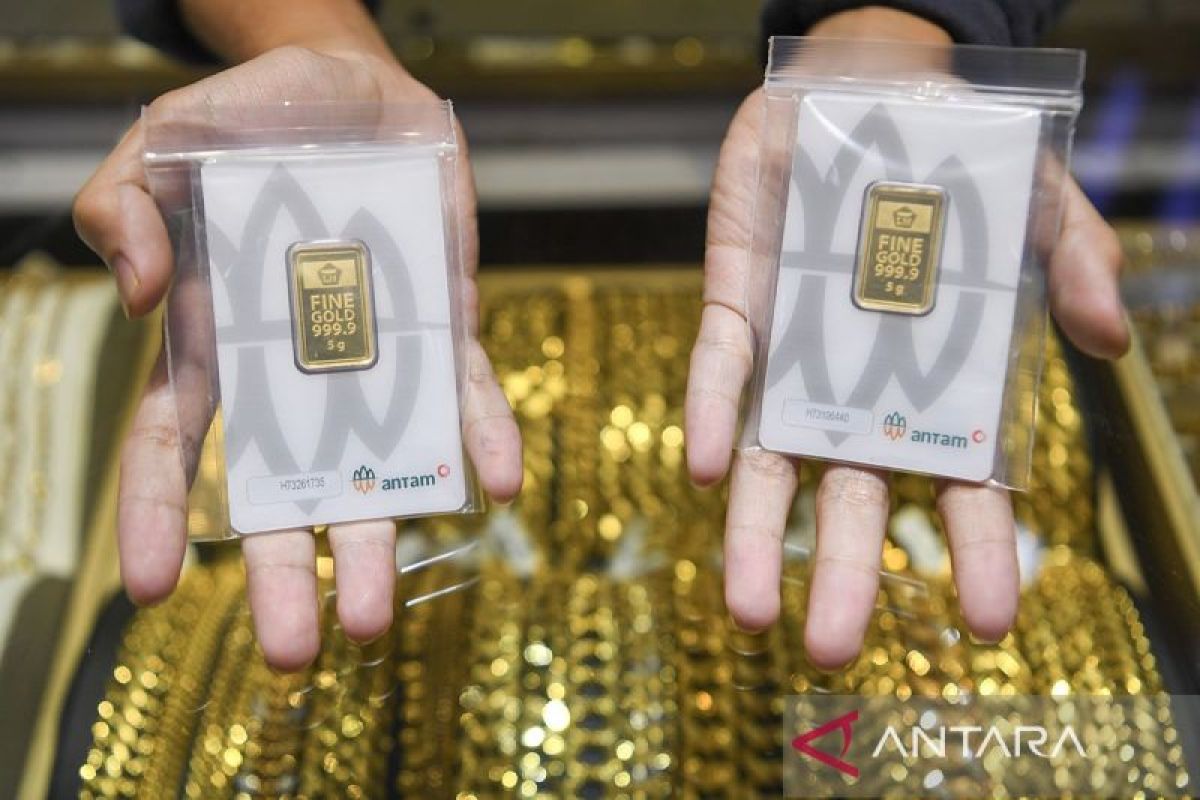 Harga Emas Antam di Kepulauan Riau Naik Rp20.000 per Gram, Buyback Ikut Terkerek ke Rp2,45 Juta