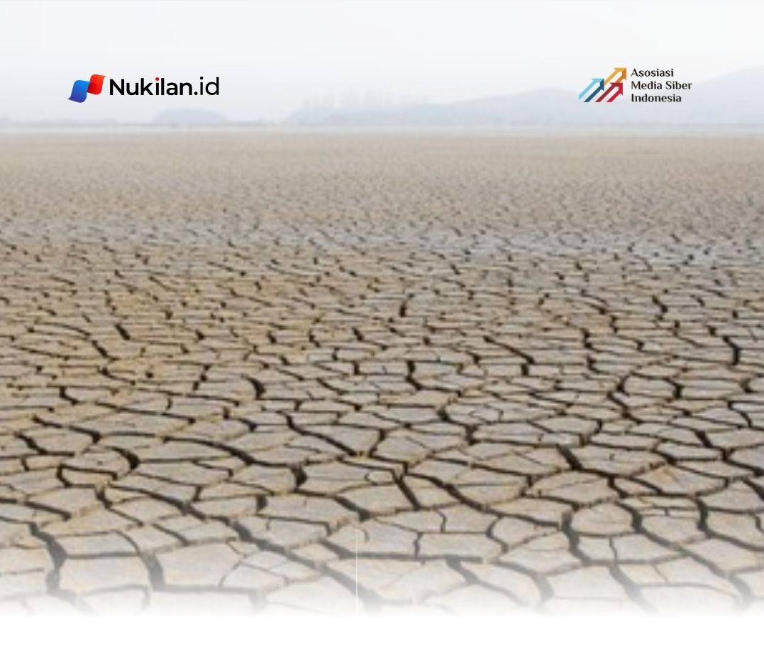 BMKG Sebut 31 Persen Wilayah Aceh Alami Hari Tanpa Hujan hingga Akhir Juli 2026, Petani Pesisir Utara Paling Terdampak
