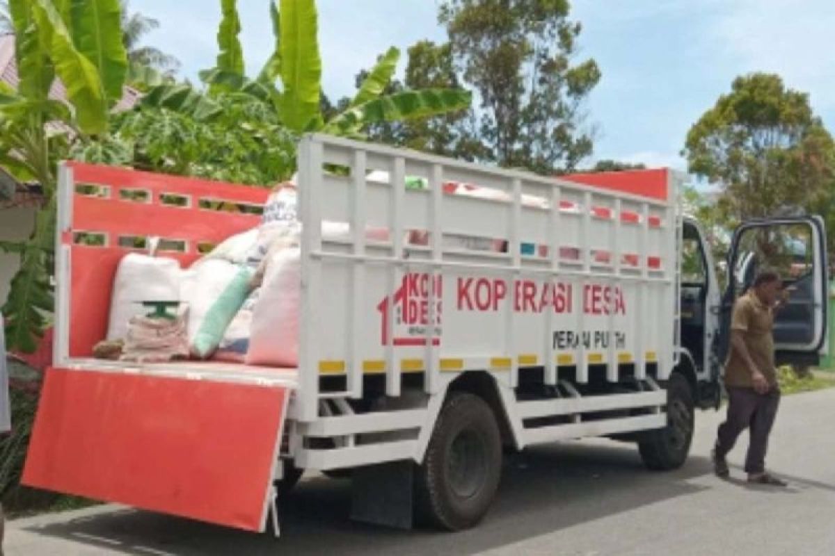 KDMP Desa Linggi di Simeulue Mulai Serap Gabah Petani, Jadi Upaya Jaga Stabilitas Harga