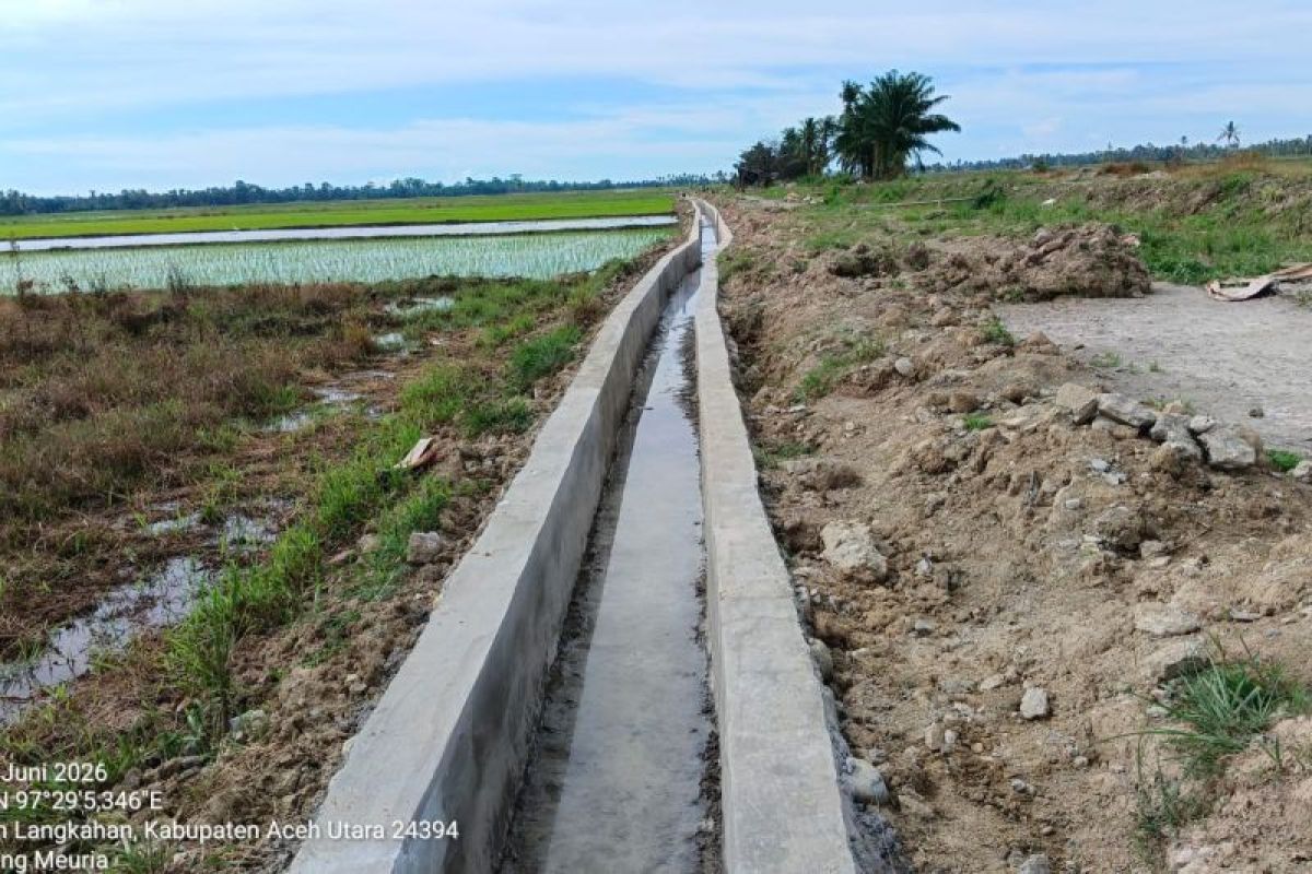 Rehabilitasi 1.093 Hektare Sawah Terdampak Bencana di Aceh Utara Dipastikan Tuntas Tahun 2026