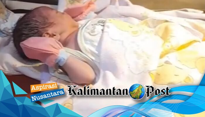 Dinsos Tanah Laut Ambil Alih Penanganan Bayi yang Dibuang di Bawah Jembatan Angsau, Dirujuk ke Panti Mulia Satria