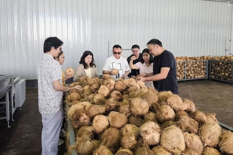 Pemkab Morowali Utara Siap Pasok Tenaga Kerja Lokal ke Industri Hilirisasi Kelapa di IHIP Morowali