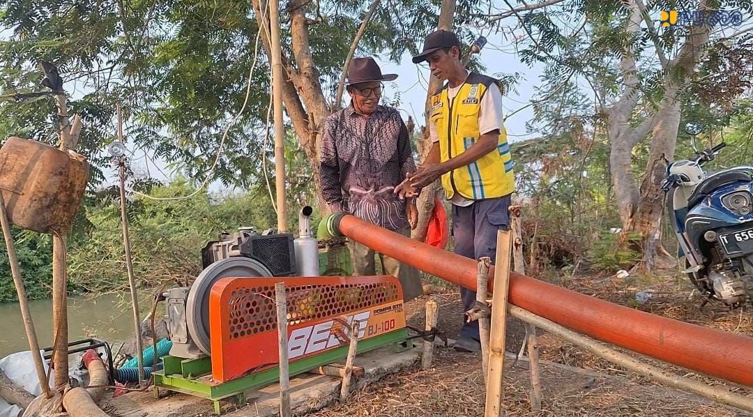 Terjunkan 10 Pompa, Menteri PU Dody Hanggodo Selamatkan 300 Hektare Sawah Kekeringan di Sentra Padi Karawang