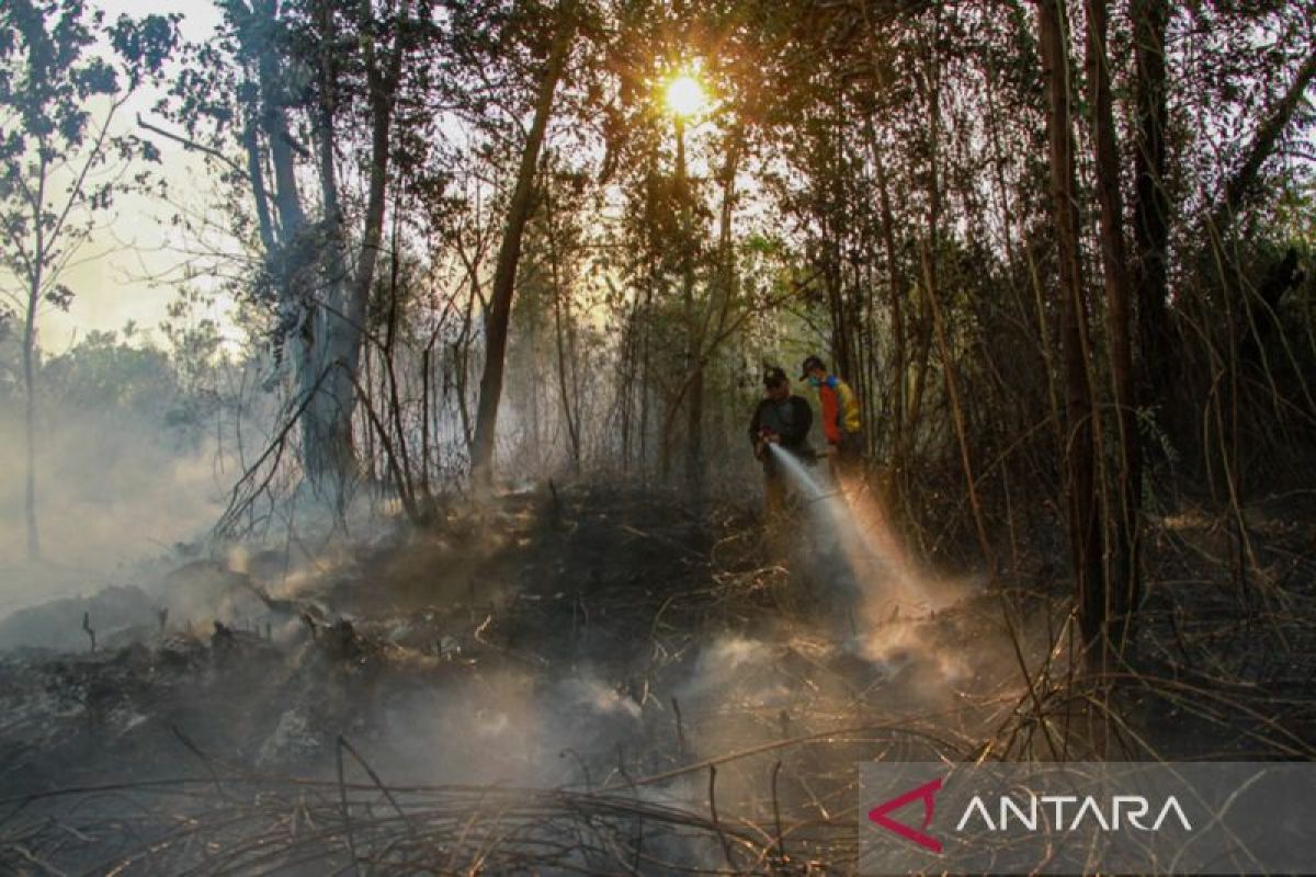Kebakaran Lahan di Perbukitan Seram Bagian Timur Padam Setelah Tiga Hari, 2,5 Hektare Semak Hangus