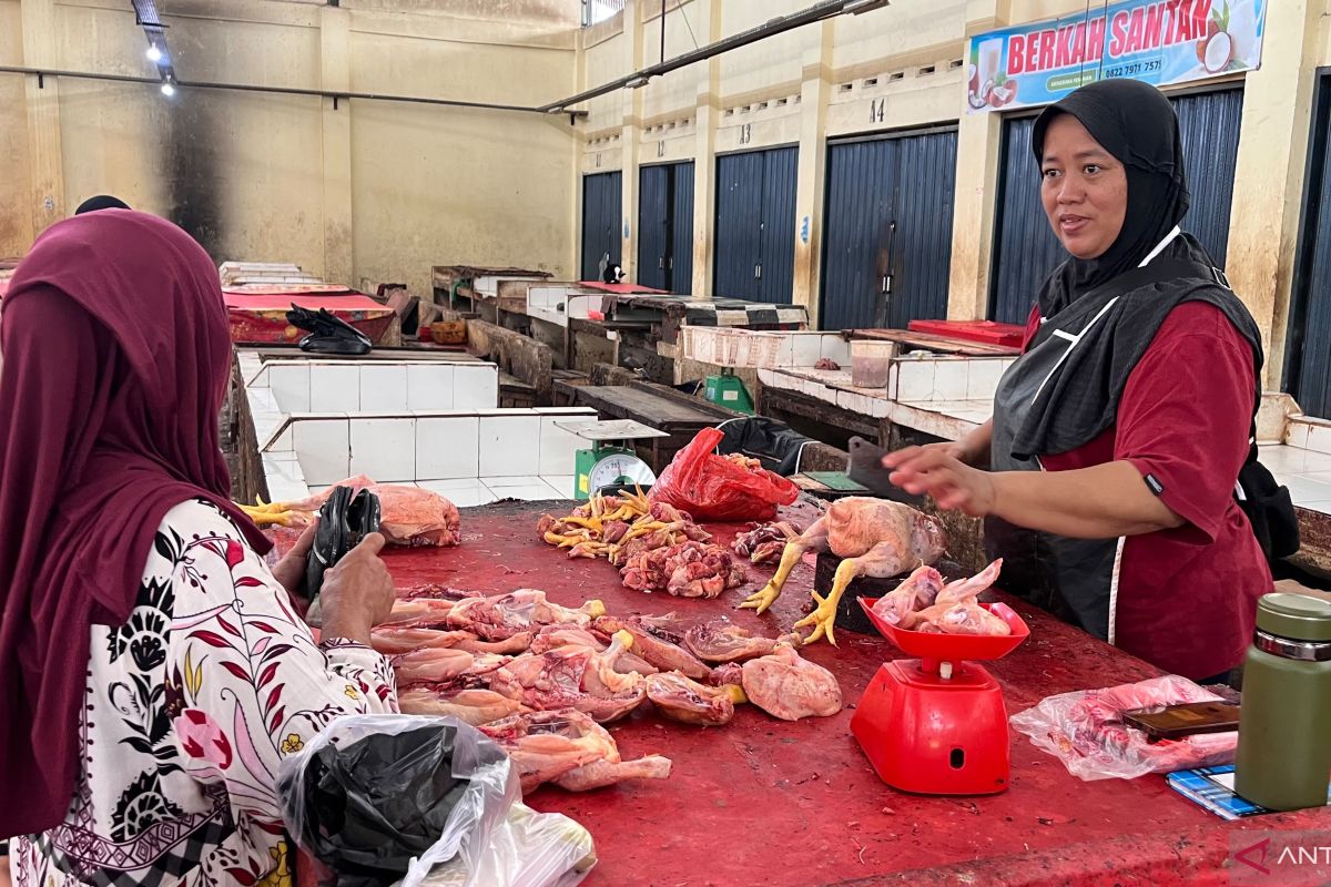 Harga Daging Ayam di Pasar Kramat Tinggi Muara Bulian Anjlok Rp 11 Ribu, Pedagang Sebut Pesanan MBG Terhenti