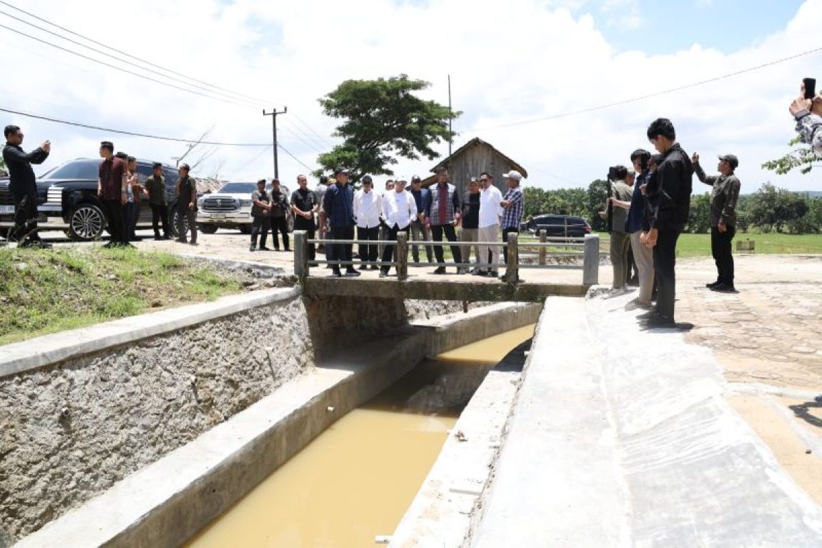 Kelompok Petani Lebak Bangun Irigasi 600 Meter, Ratusan Hektare Sawah Teraliri Air untuk Dongkrak Produksi Pangan