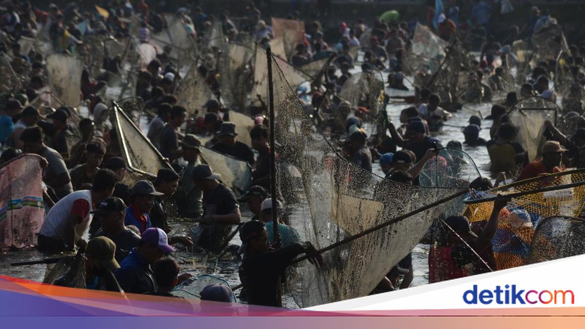 Peserta Festival Memet Ikan Klaten Meninggal saat Berebut 2 Ton Ikan, Punya Riwayat Hipertensi
