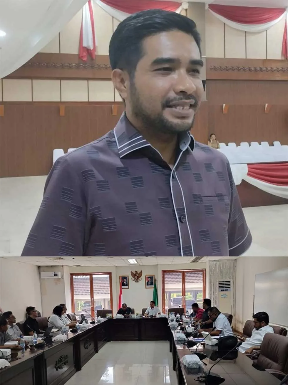 Anggota DPRD Maluku Rovik Afifudin Soroti Minimnya Data Proyek Jalan Piru-Loki, Pengawasan di Seram Bagian Barat Terhambat