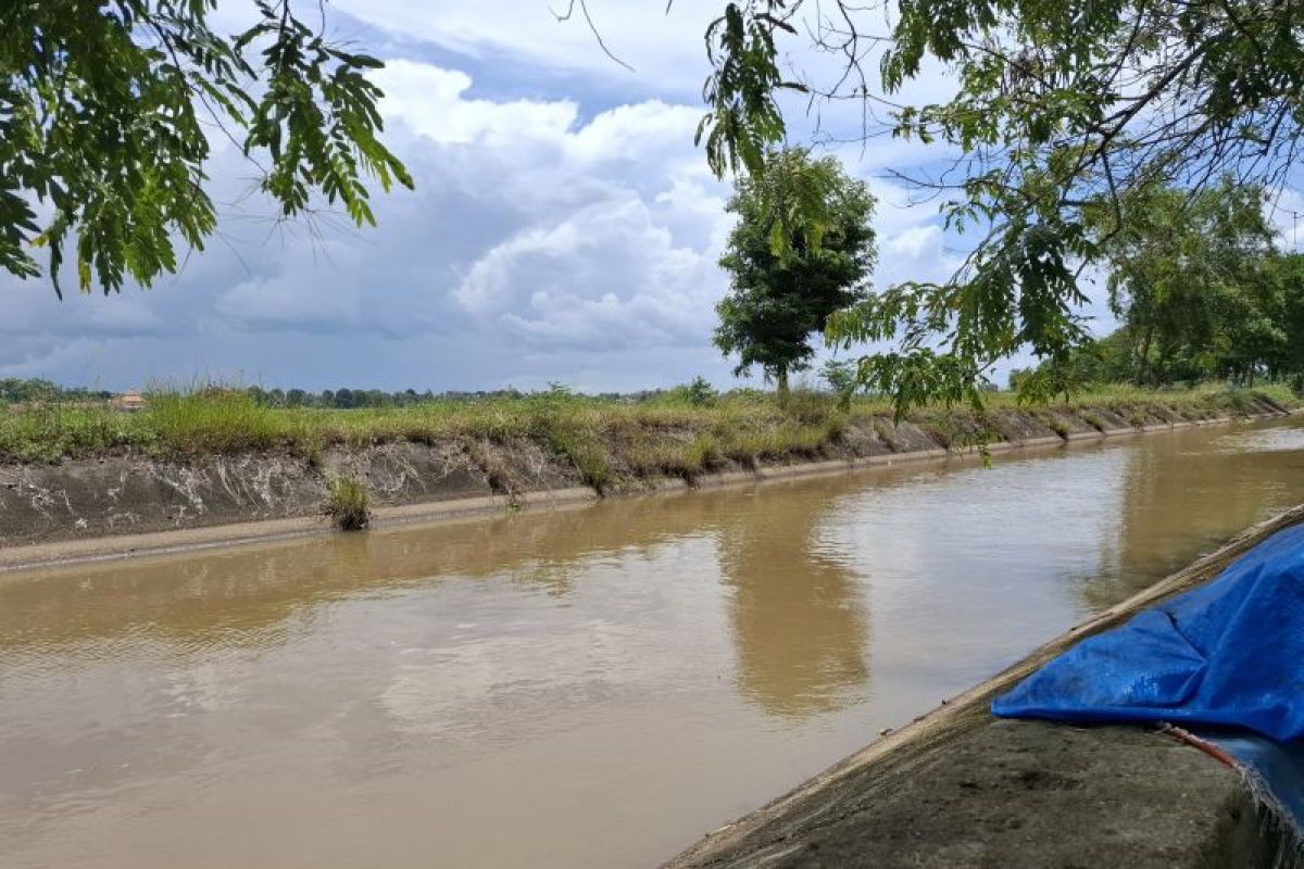 Pemprov Lampung Petakan Kebutuhan Air di Tengah Ancaman El Nino, Sektor Industri dan Pertanian Jadi Prioritas