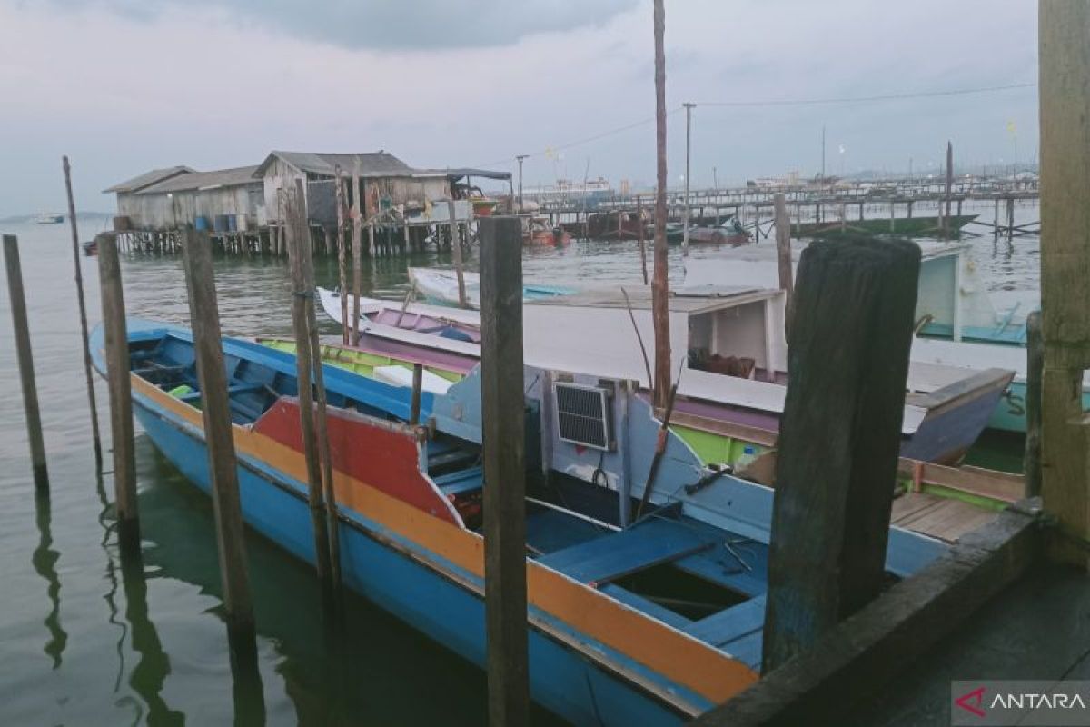Potensi 200 Ton Ikan Rucah Per Tahun di Penajam Paser Utara, Pemkab Buka Peluang Investor Bangun Pabrik Tepung Ikan