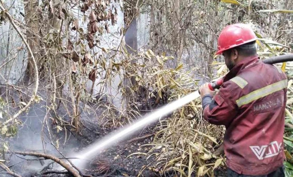 Kebakaran Lahan di Aceh Selatan Capai 28 Hektare, Api Mulai Padam Usai Tim Manggala Agni Dikerahkan