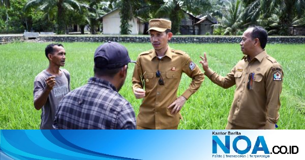 Bupati Aceh Barat Salurkan 200 Pompa Air ke Petani di Samatiga, Atasi Kekeringan Sawah