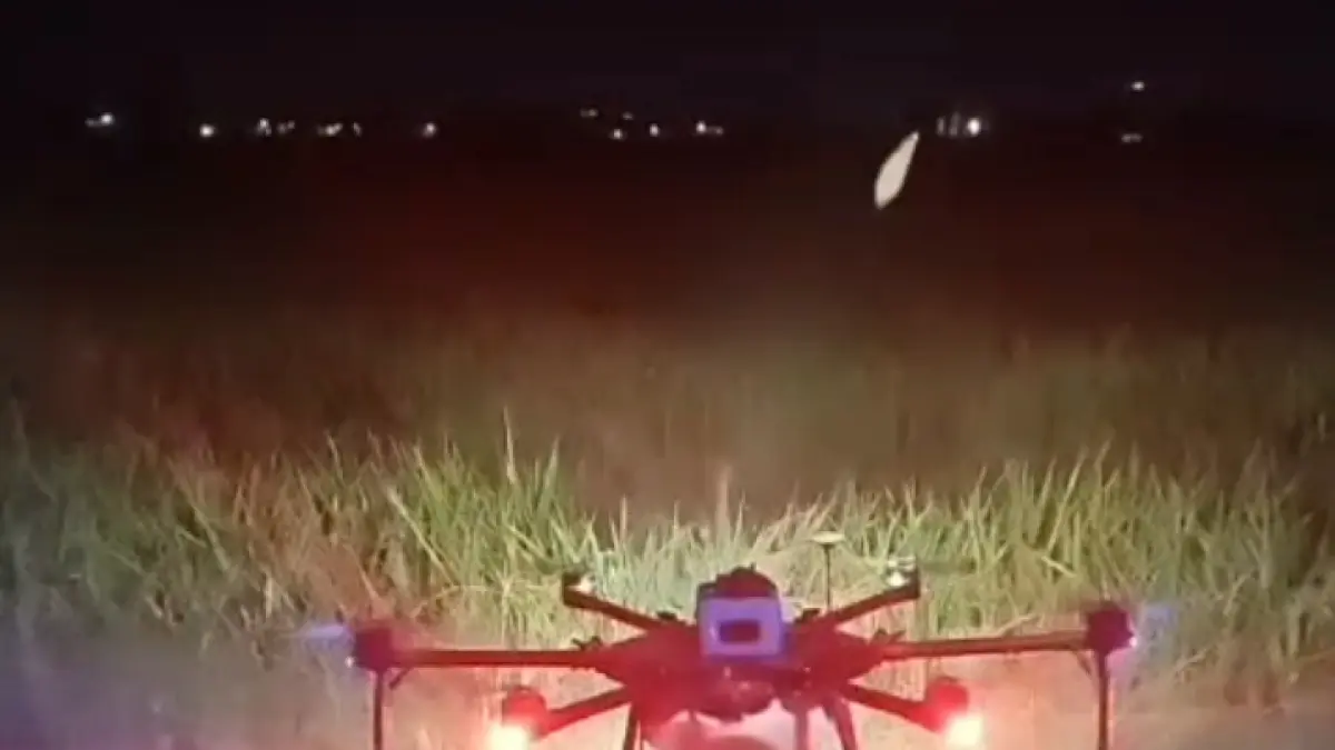 Drone Sprayer Diterbangkan Basmi Ulat Grayak di Grogol Sukoharjo, Petani Terancam Gagal Panen