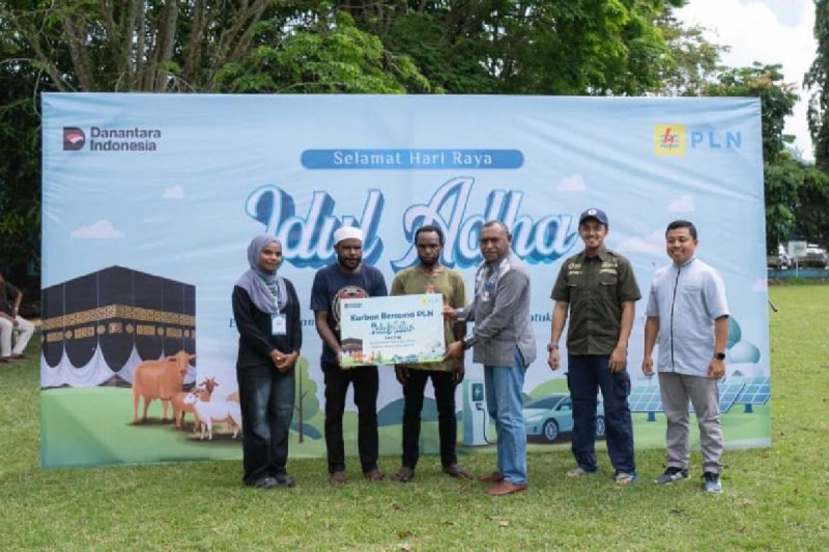 PLN Salurkan 23 Hewan Kurban untuk 1.540 Warga di Papua, Daging Dibagikan dari Jayapura hingga Biak