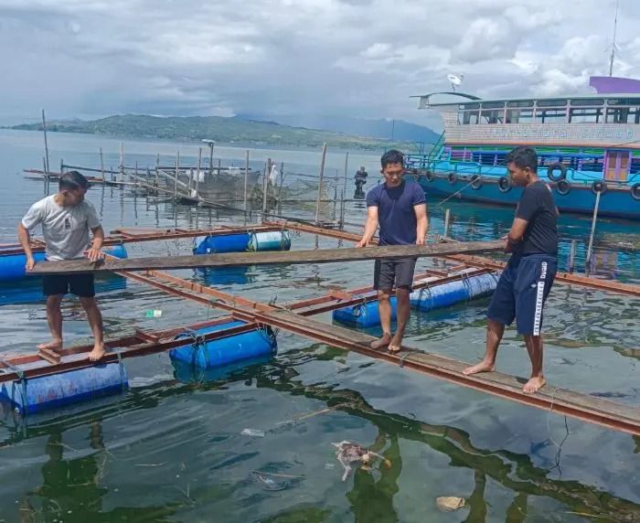 Pemkab Toba Klaim 63 Persen Keramba Ikan di Danau Toba Sudah Ditertibkan, Target Nol Keramba