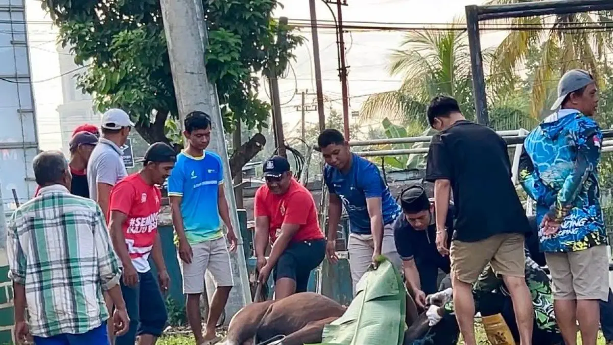 PLN Indonesia Power UBP Mahakam Potong Hewan Kurban Idul Adha 1447 H, Satukan Karyawan dan Jaga Pasokan Listrik Tetap Andal