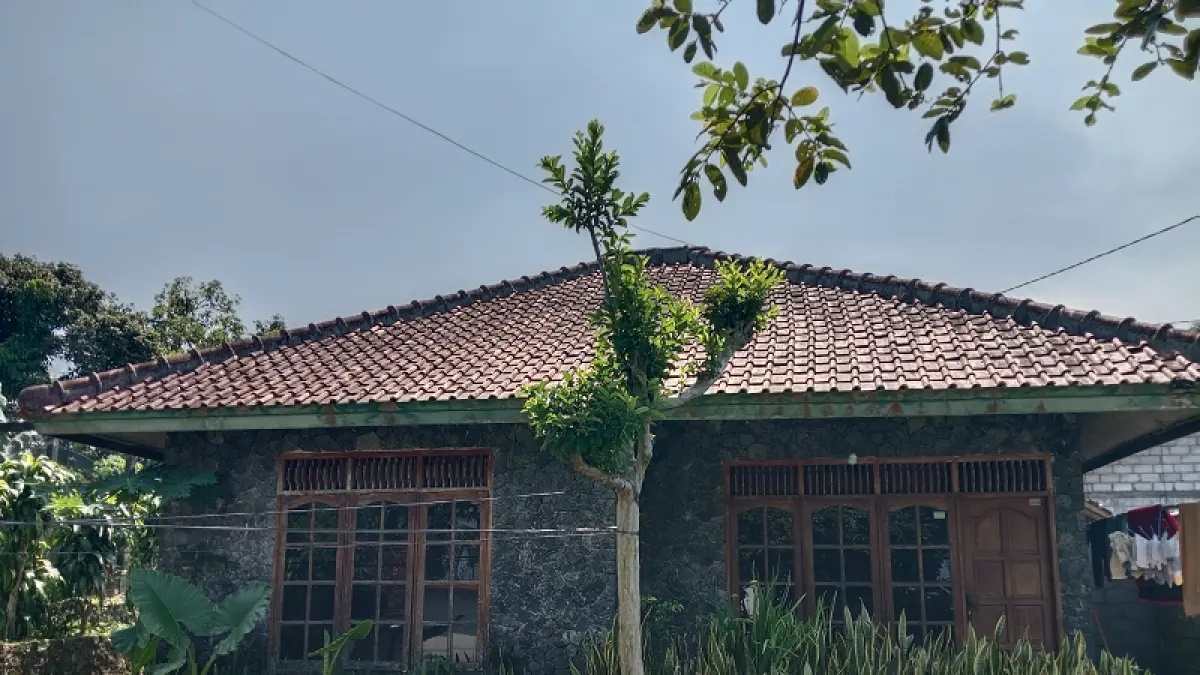 11 Bayi Dievakuasi dari Rumah di Pakem Sleman, 6 Dinyatakan Layak Dikembalikan ke Orang Tua