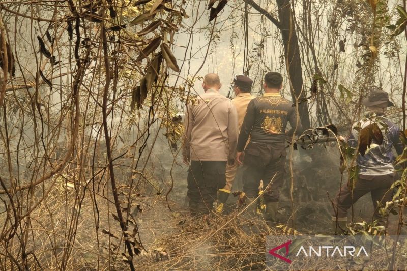 Pemprov Kalteng Dorong Lahan Rawan Karhutla Diproduktifkan, 14.075 Hektare Terbakar Tercatat