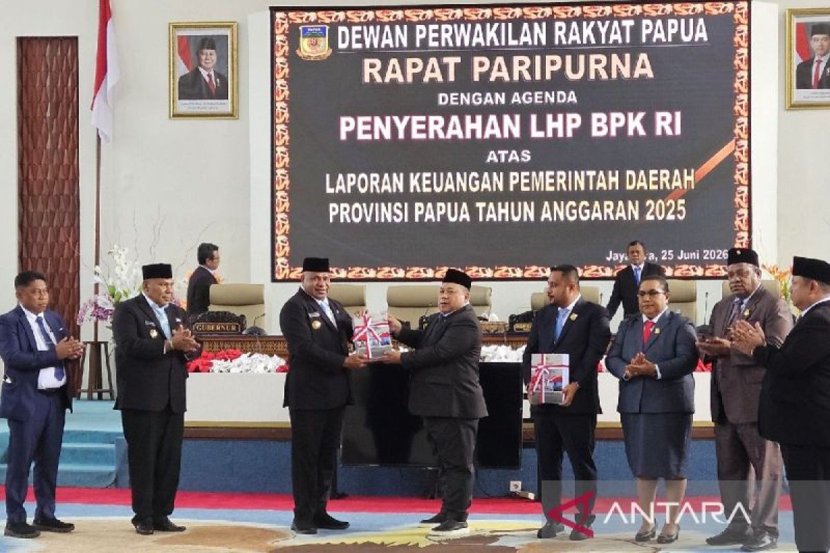 BPK Temukan Kendaraan Dinas Pemprov Papua Dikuasai Pihak Tak Berwenang, 60 Hari Ditertibkan