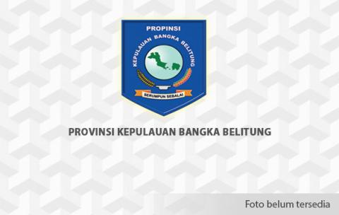 Pemprov Babel dan BI Gelar FGD Petakan Komoditas Unggulan UMKM, Targetkan Kebijakan Tepat Sasaran Tahun 2026