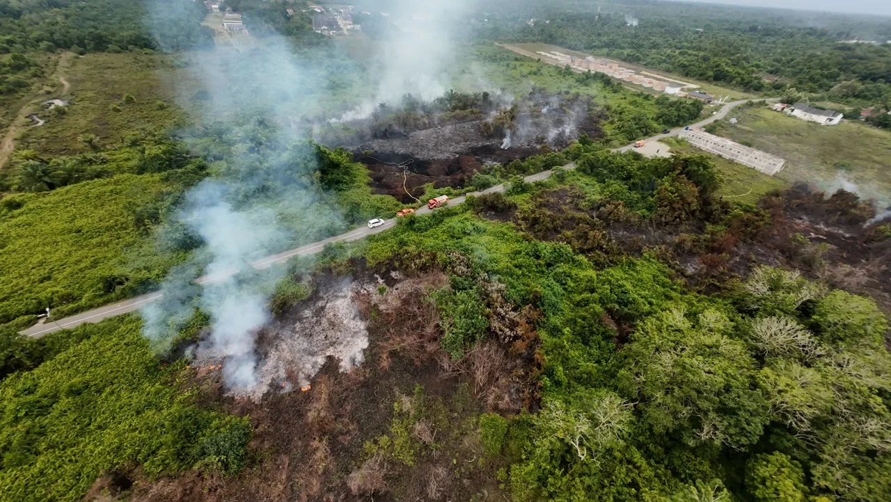 Karhutla di Aceh Barat Meluas ke 9 Gampong, Luas Lahan Terbakar Capai 20,5 Hektare