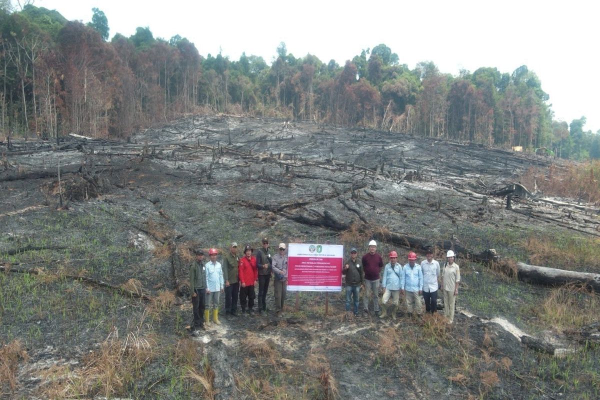 Kemenhut Bekukan Izin PT MPK di Kalbar Usai Kebakaran Lahan 394 Hektare, Enam Perusahaan Kena Sanksi