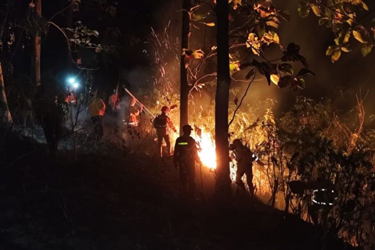 BPBD Ciamis Pastikan Kebakaran Lahan Perhutani di Banjaranyar Padam, 2 Hektare Serasah Daun Jati Hangus