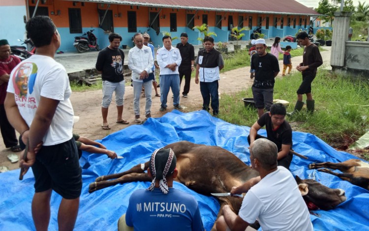 PSI Kalteng Sembelih Sapi Kurban di Palangka Raya, Daging Dibagikan ke Warga Sekitar Mushola Al Ihsan