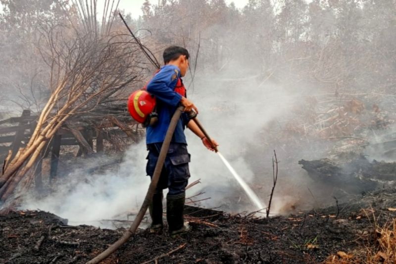 Hujan Belum Padamkan Karhutla Kotim, Satgas Catat 17 Titik Api dan Kabut Asap Makin Tebal