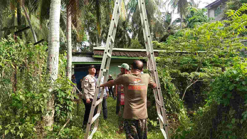 Warga Aceh Besar Meninggal Usai Jatuh dari Pohon Kelapa di Halaman Rumah, Ditemukan Anak di Kolam Ikan
